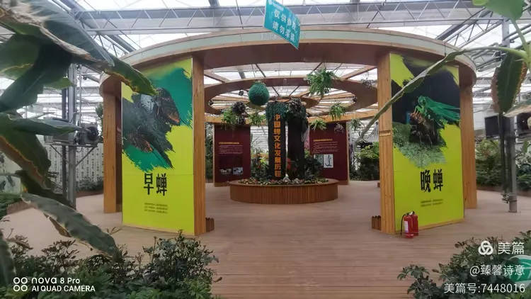 河北省故城县以岭康养庄园之中国金蝉文化馆